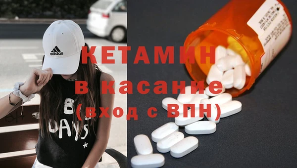 сатива Аркадак