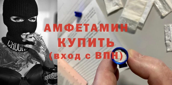 сатива Аркадак