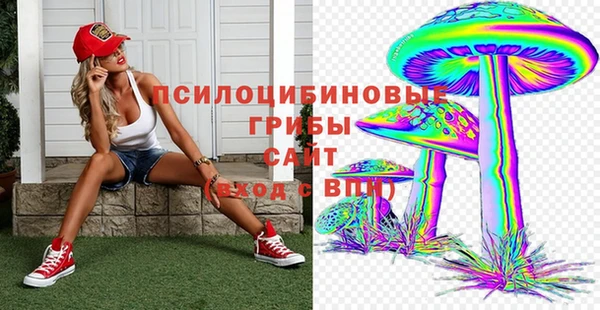 сатива Аркадак