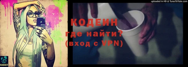 ПСИЛОЦИБИНОВЫЕ ГРИБЫ Арсеньев