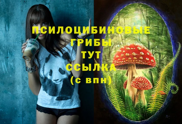 дурь Армянск