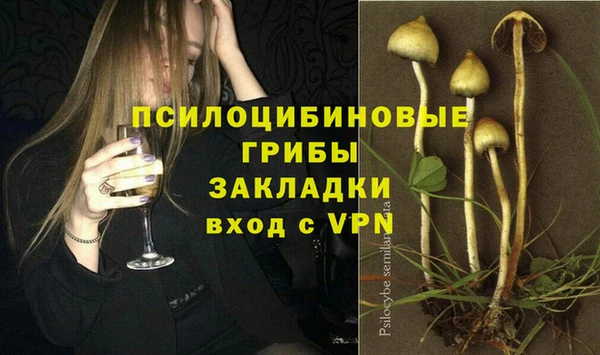 дурь Армянск
