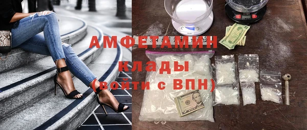 ПСИЛОЦИБИНОВЫЕ ГРИБЫ Арсеньев
