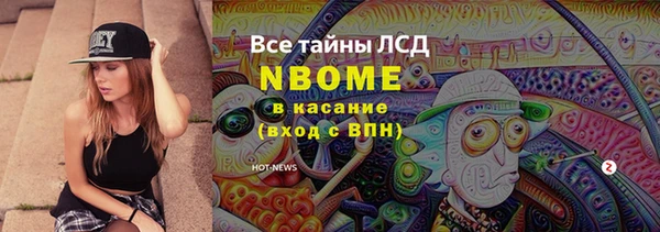 ПСИЛОЦИБИНОВЫЕ ГРИБЫ Арсеньев