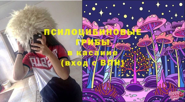 ПСИЛОЦИБИНОВЫЕ ГРИБЫ Арсеньев