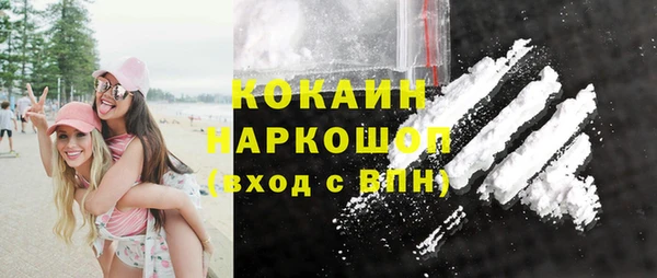 сатива Аркадак