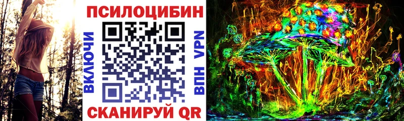 ОМГ ОМГ как зайти  Козьмодемьянск  Галлюциногенные грибы GOLDEN TEACHER 